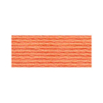 DMC Floss 3825 Pale Pumpkin